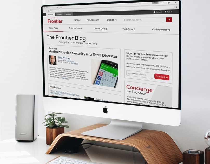 Screenshot of Blog Frontier project